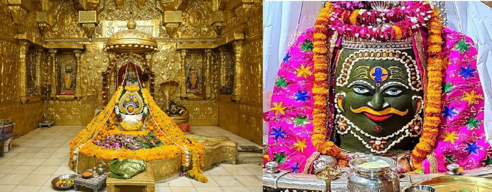Shivratri 2025 : इस महाशिवरात्रि घर बैठे करें ज्योतिर्लिंगों  के दर्शन