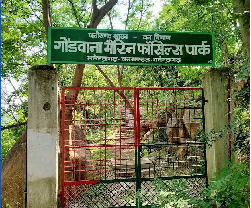 छत्तीसगढ़ का एक अनमोल खजाना “गोंडवाना मरीन फॉसिल पार्क”